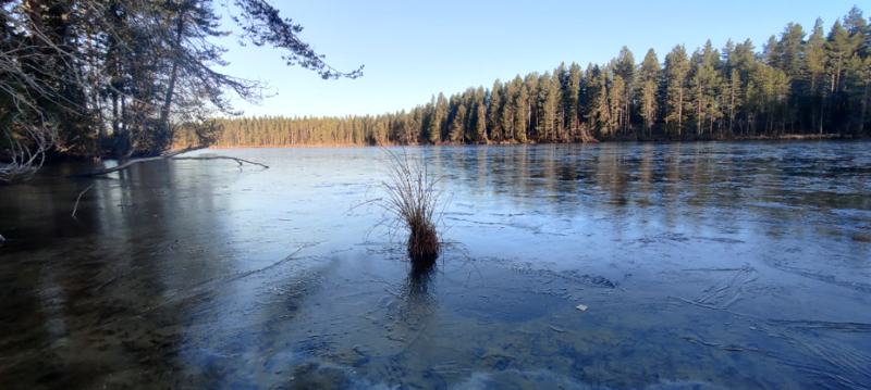 Tiedosto:Välijärvi (74.021.1.051)-Luikonperän salmi-ObsIMG-202210210945-637ca8a9447d9.png