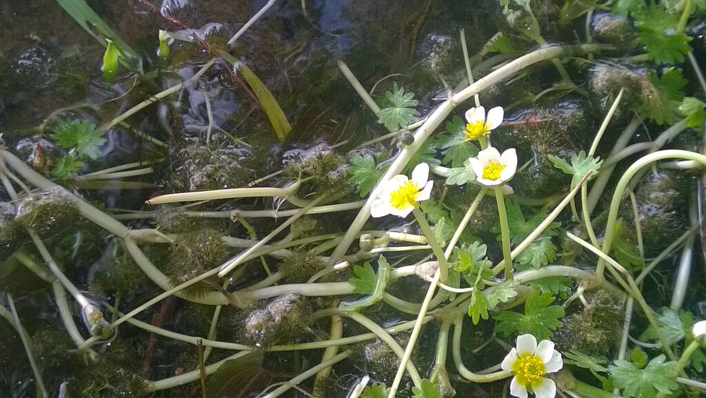 WP 20150617 18 04 41 Pro.jpg