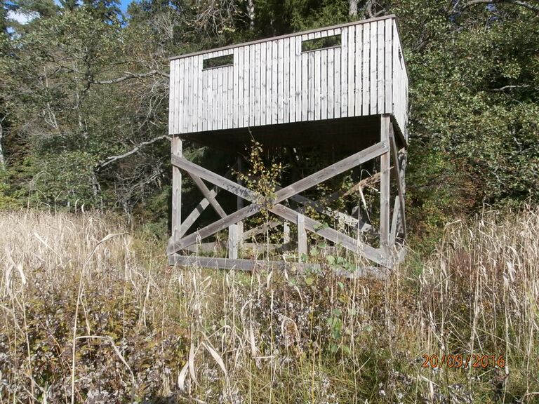 Ekuddenin lintutorni.JPG