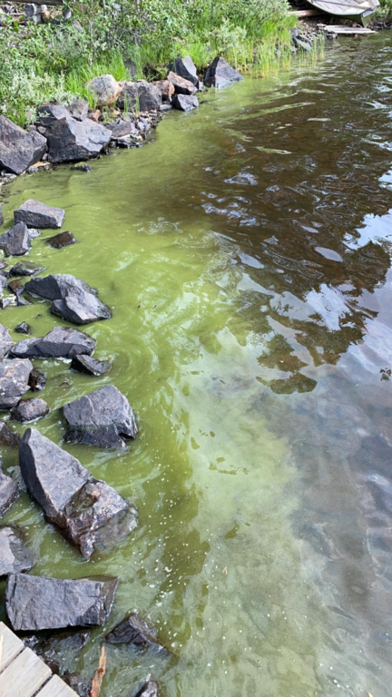 Misijärvi (65.798.1.001)-Misijokisuu-ObsALG-202107061359-60e4397a34d7a.png