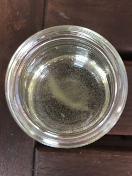 Tiedosto:Nummijärvi (24.032.1.009)-Nummijärvi Saukonniemu-ObsLEVEL-201907271248-65.jpeg