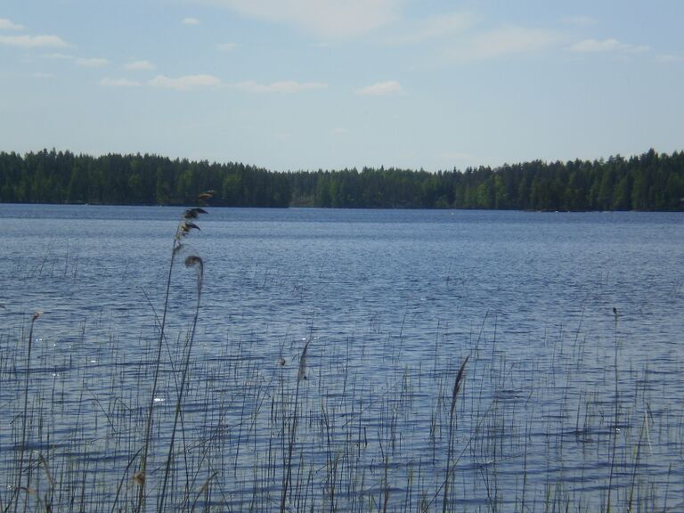 Pesäjärvi.JPG