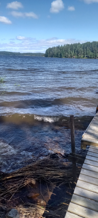 Saimaa (04.112.1.001)-Rotarien sinileväseuranta (Pulkkaselkä, Hietalahti)-ObsIMG-202507011318-1751365219228.png