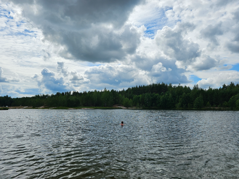 Havainto-Vahdon hiekkakuopat-ObsIMG-202306301030-64a276450cb3a.png