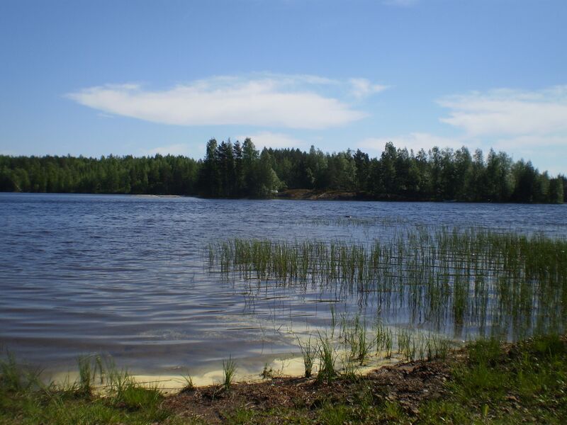 Tiedosto:Hirvijärvi uimaranta.JPG