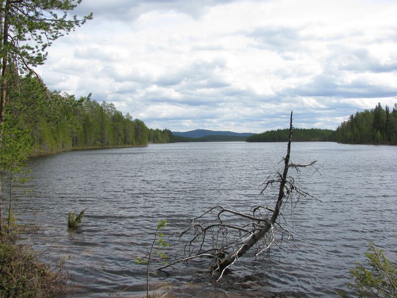 Tiedosto:JPG 9976.JPG