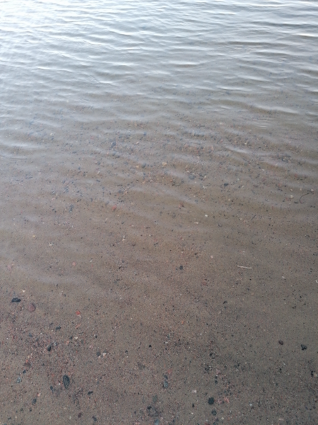 Tiedosto:Joutjärvi (14.241.1.004)-Möysän uimaranta-ObsIMG-202408261835-66cca3542b7e1.png