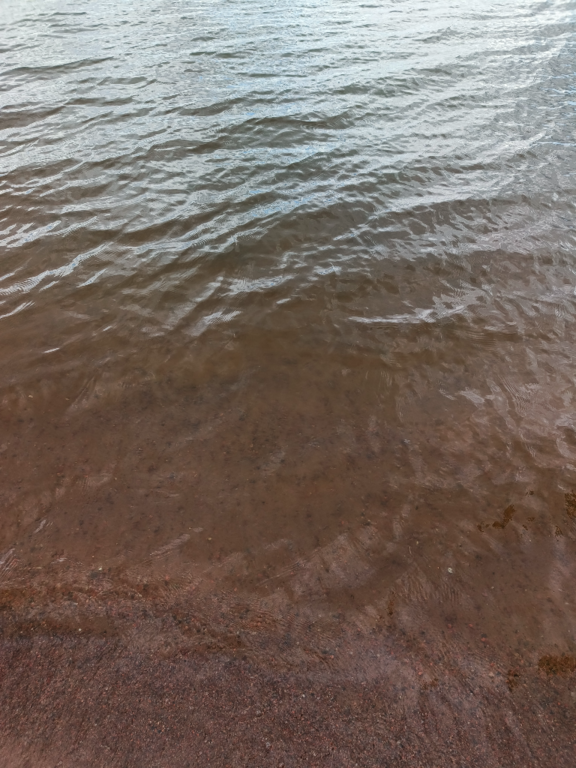 Köyliönjärvi (34.054.1.001)-Valtakunnallinen sinileväseuranta (Yttilän Otta)-ObsALG-202407021453-6683ea64c24f2.png