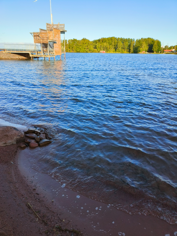 Pyhäjärvi (34.031.1.001)-Valtakunnallinen sinileväseuranta (Katismaan uimaranta)-ObsALG-202508190818-1755580770317.png