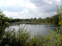 Siirtolanlammikko elokuussa 2004.