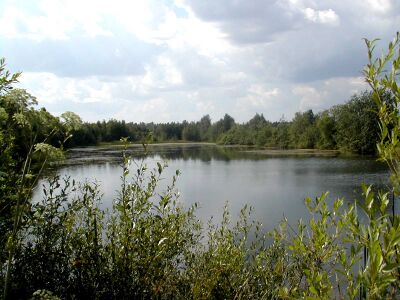 Siirtolanlammikko elokuussa 2004.