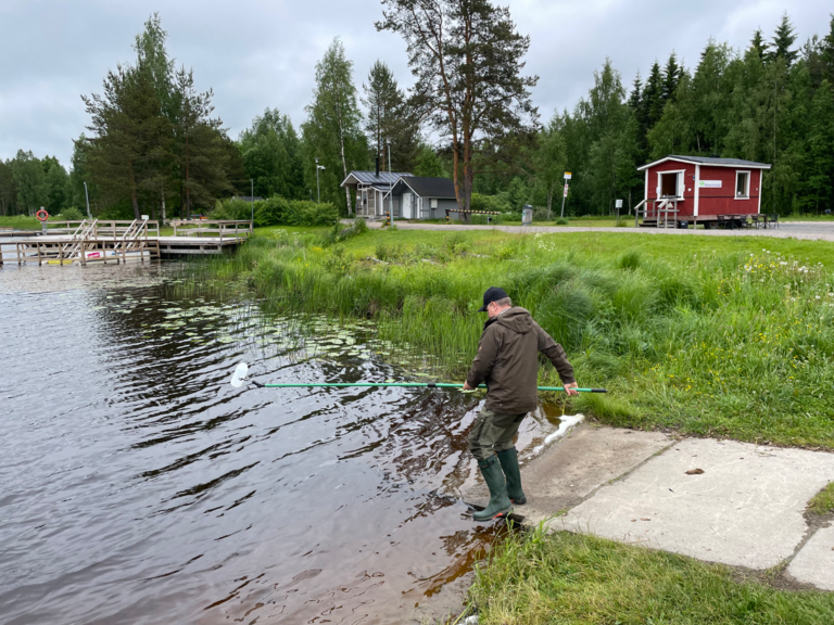 Hamarin alue (53.031)-Hamarin uimaranta-ObsIMG-202506231518-1750973255790.png