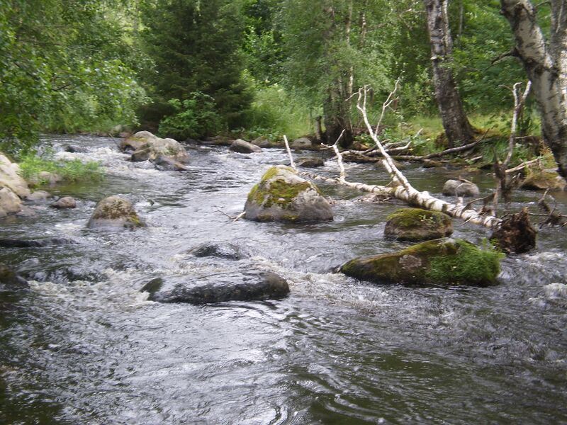 Tiedosto:Heikkilän väylä.JPG