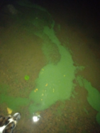 Kruunuvuorenselkä/Mustikkamaan uimaranta