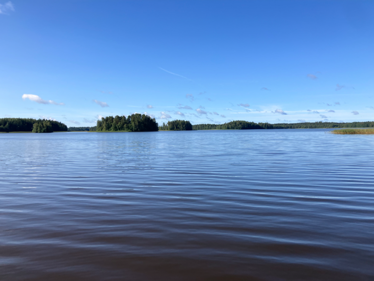 Loppijärvi (35.874.1.001)-Valtakunnallinen sinileväseuranta (Kirkonkylän uimaranta)-ObsIMG-202508131010-1755069364290.png