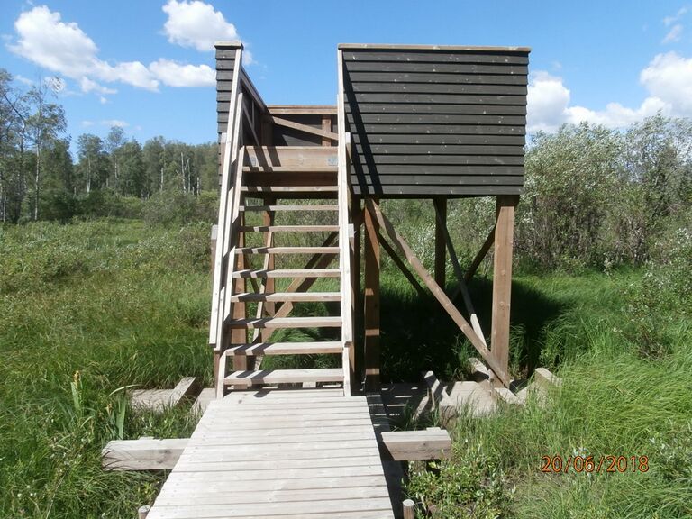 Nupurin lintutorni.JPG