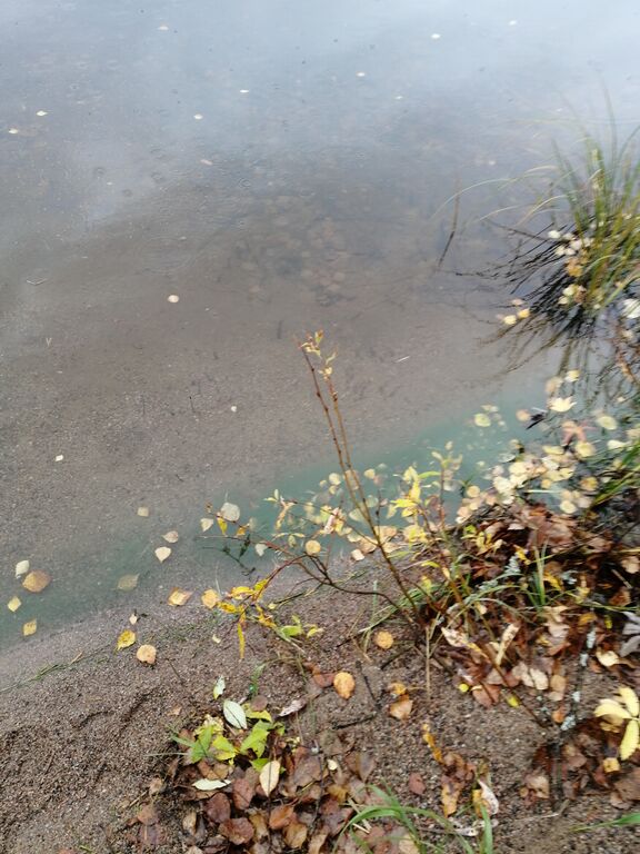 Pyhäjärvi (14.681.1.001)-Havaintopaikka 4-ObsIMG-202010111301-86.jpg