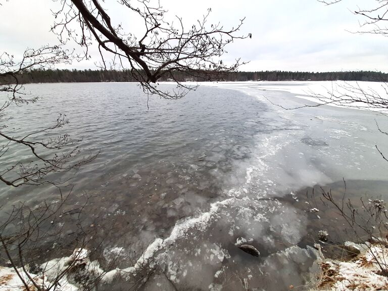 Sääksjärvi (23.097.1.002)-Sääksjärvi-ObsICE-202012281300-5.jpeg