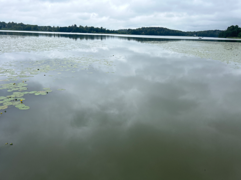 Tuusulanjärvi (21.082.1.001)-Rotarien sinileväseuranta (Kotuntien laituri)-ObsIMG-202307311110-64c76cf4521e4.png