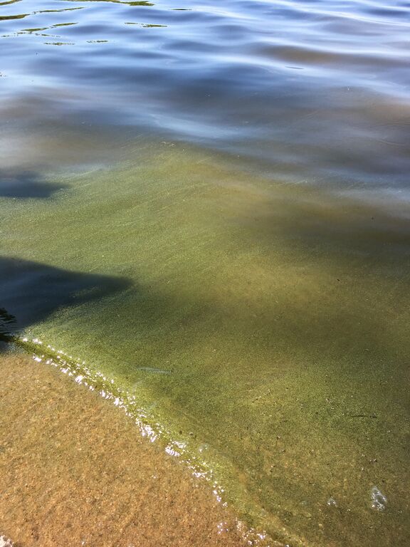 Pyhäjärvi (34.031.1.001)-Lukkalan mökki-ObsIMG-201907201644-9.jpg