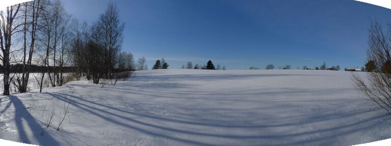 Aurinkorinne 25.3.2011.jpg