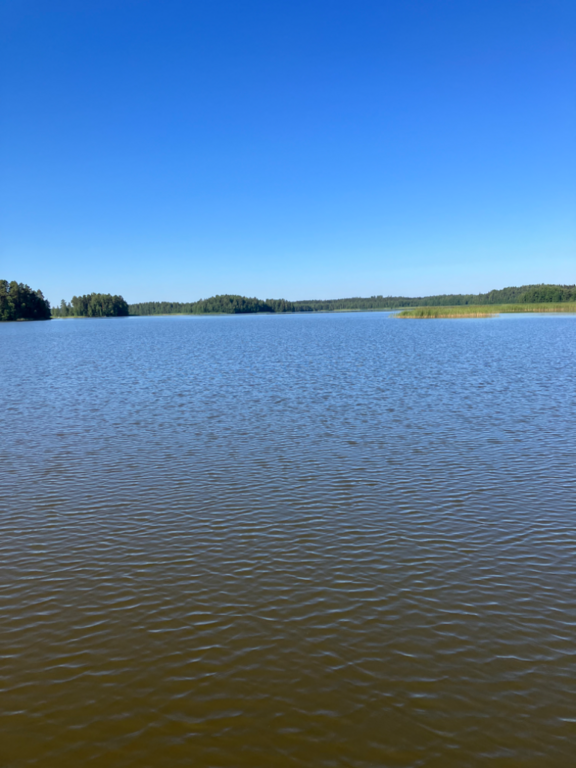 Loppijärvi (35.874.1.001)-Valtakunnallinen sinileväseuranta (Kirkonkylän uimaranta)-ObsIMG-202307120922-64ae46b6802e1.png