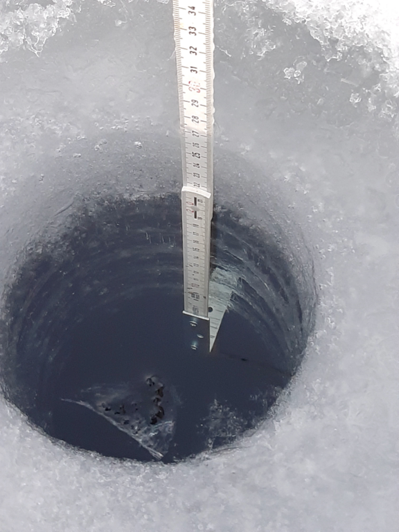 Sääksjärvi (23.097.1.002)-Sääksjärvi-ObsICE-202401111545-65a0062255a6e.png