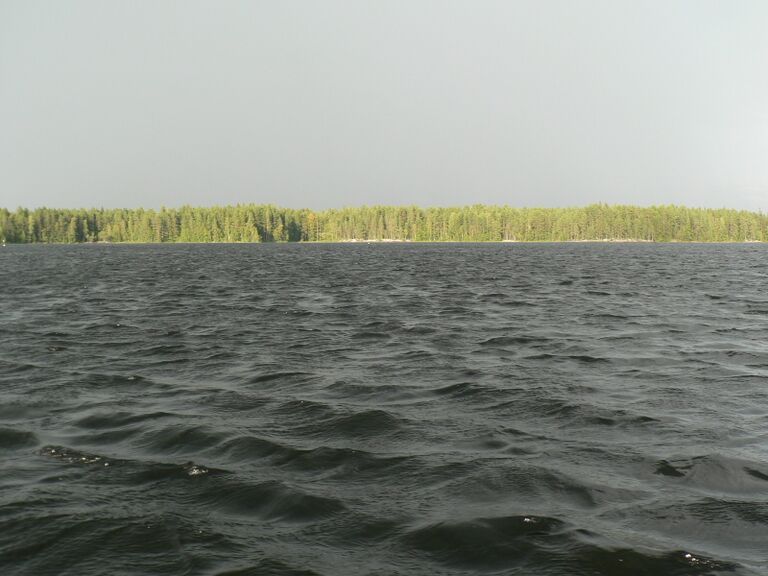 Sadekuuro nousee Kallionotsassa.JPG