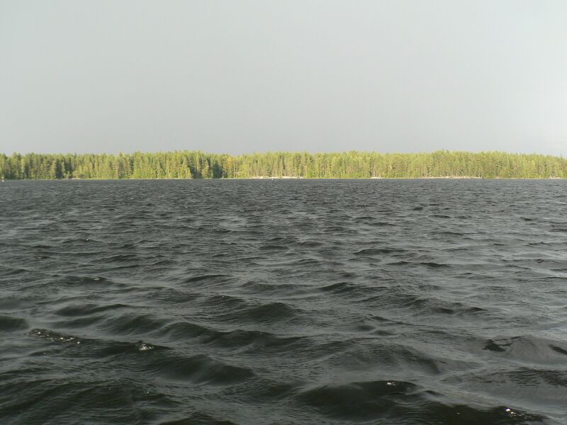 Tiedosto:Sadekuuro nousee Kallionotsassa.JPG