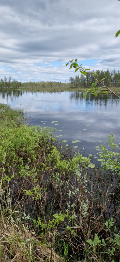 Kelontekemäjoen valuma-alue (65.855)-Nelijoukahaisjärvi-ObsIMG-202506151110-1749975139763.png