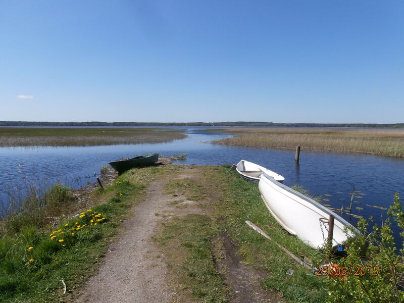 Tiedosto:Ridasjärven veneranta 1.JPG