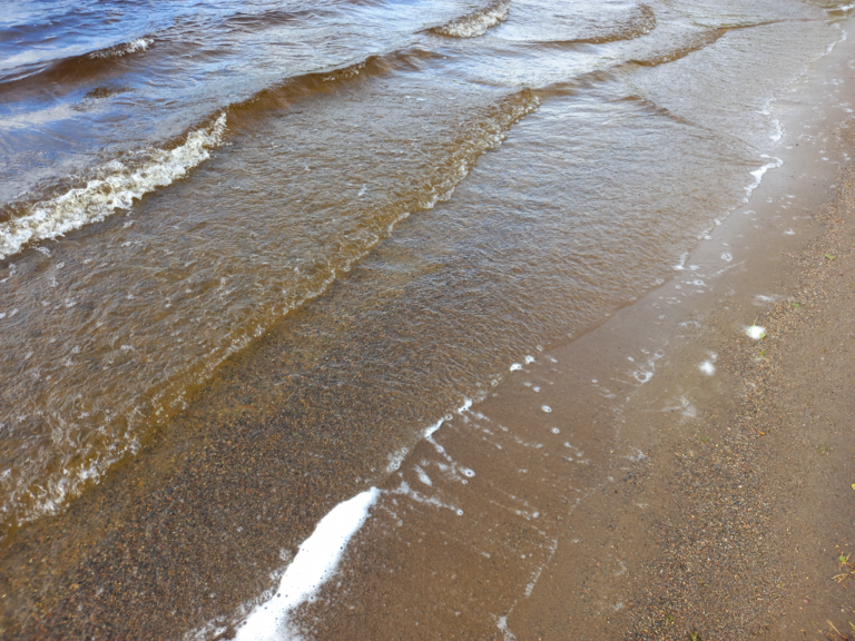 Ukonvesi (Saimaa) (04.151.1.001)-Valtakunnallinen sinileväseuranta (Launialan uimaranta)-ObsALG-202307050920-64a51790682b3.png