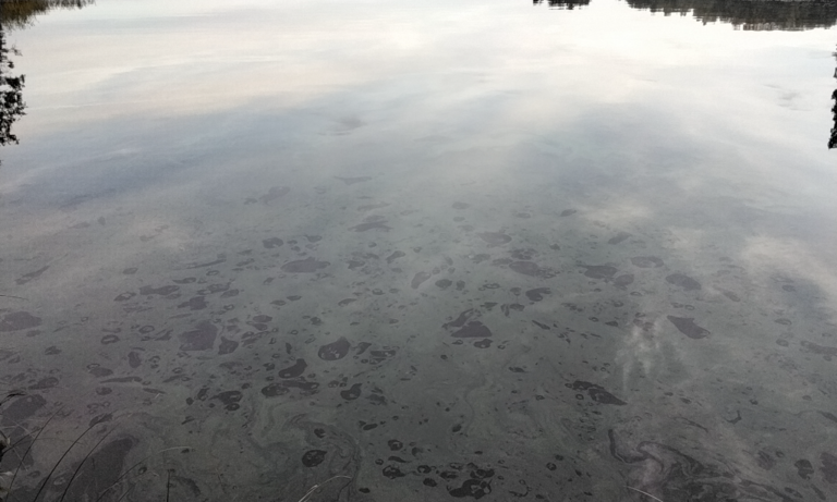 Vanajavesi (yhd.)-Rauttunlahti-ObsIMG-202209121858-631f58b376718.png