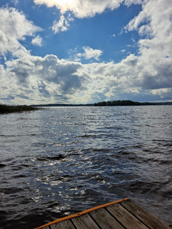 Kallavesi (yhd.)-Iso-Muurainen-ObsIMG-202409011147-66d42c0b2ea08.png