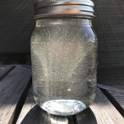 Mannervesi-Valtakunnallinen sinileväseuranta (Iso Marjakari)-ObsALG-201907240900-34.jpeg