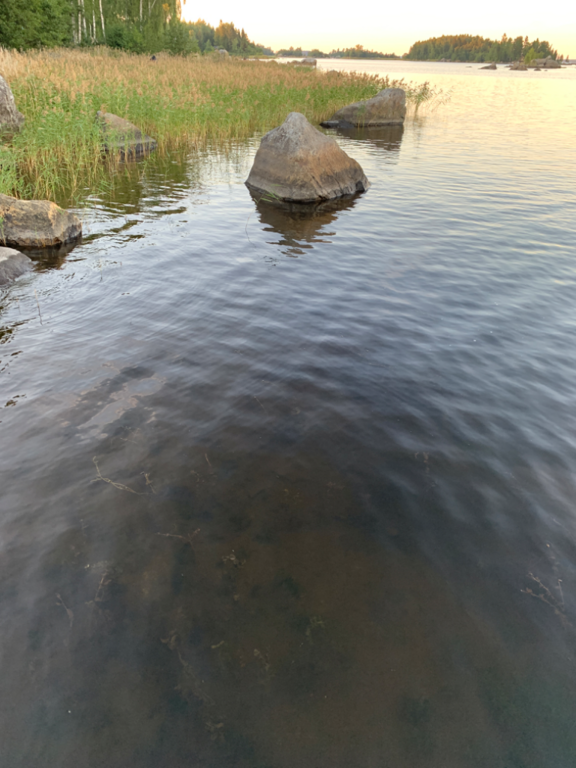 Monåfjärden-Kalotfjärden-Norra Heplotan, itäranta-ObsIMG-202208262046-6309075e8e046.png