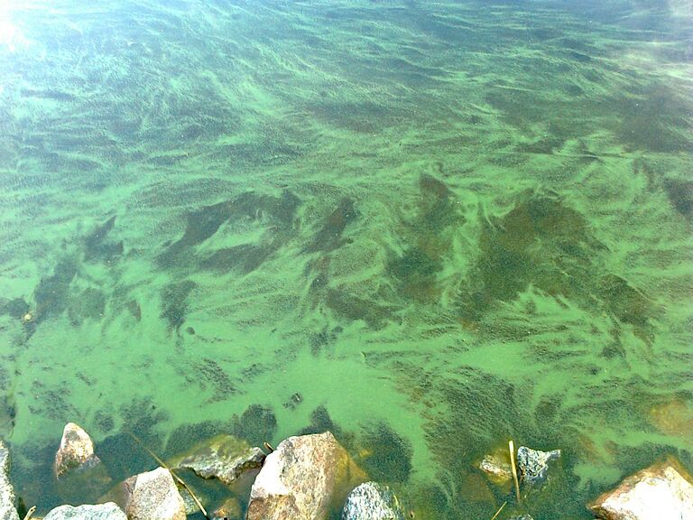 NL-satama 07072012.jpg