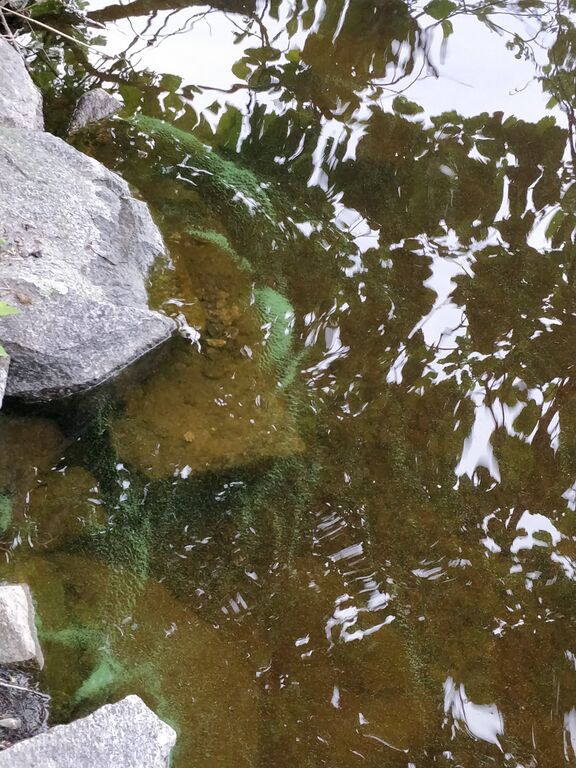 Päijänne (yhd.)-Pesulatien veneenlaskupaikka-ObsIMG-201806252012-51.jpg