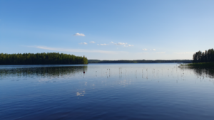 Pihlajavesi (Saimaa) (04.121.1.001)-Uitonniemi, Supikko-ObsIMG-202507171914-1752769191767.png