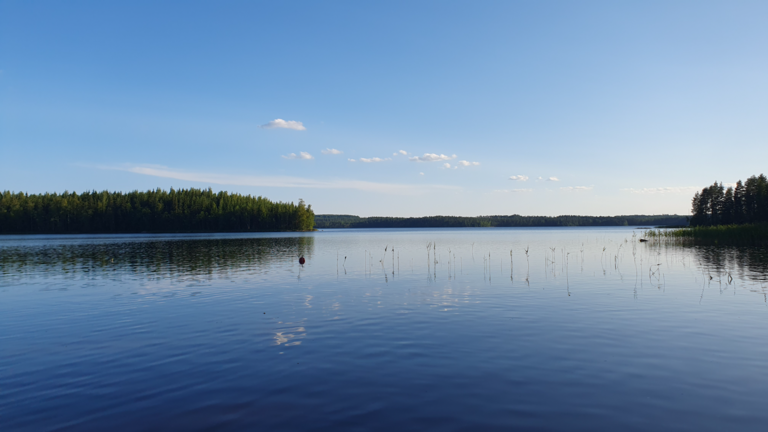 Pihlajavesi (Saimaa) (04.121.1.001)-Uitonniemi, Supikko-ObsIMG-202507171914-1752769191767.png