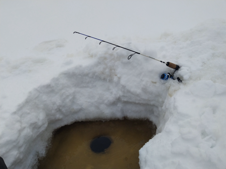 Puolankajärvi (60.055.1.001)-Taivalahti-ObsIMG-202103201210-60e895f71e5c5.png