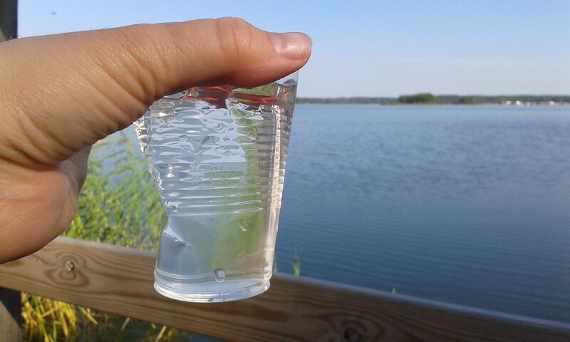 Tiedosto:Uudenkaupungin rannikkoalue (96.11)-Valtakunnallinen sinileväseuranta (Santtion uimaranta)-ObsIMG-201807170940-93.jpg