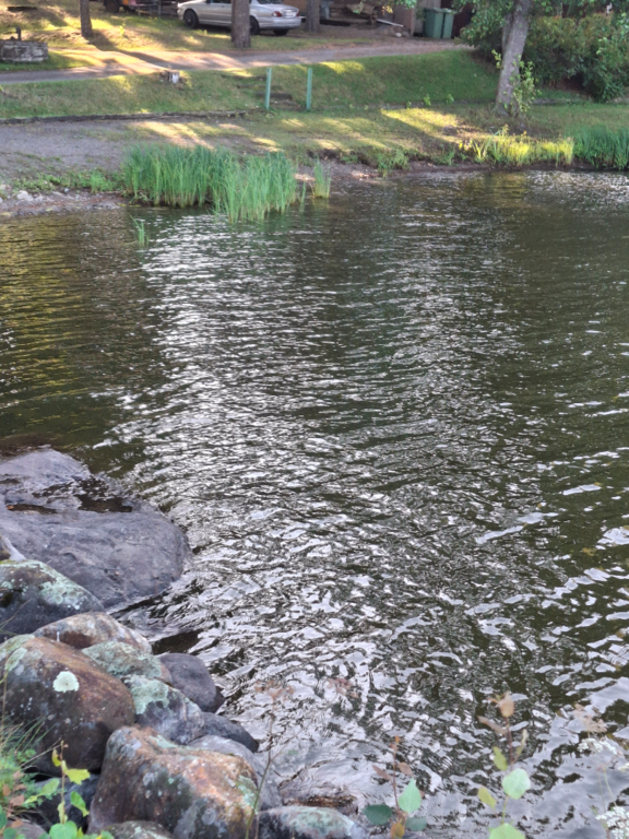 Vanajavesi (yhd.)-Valtakunnallinen sinileväseuranta (Sääksmäen silta)-ObsIMG-202508110735-1754888460760.png