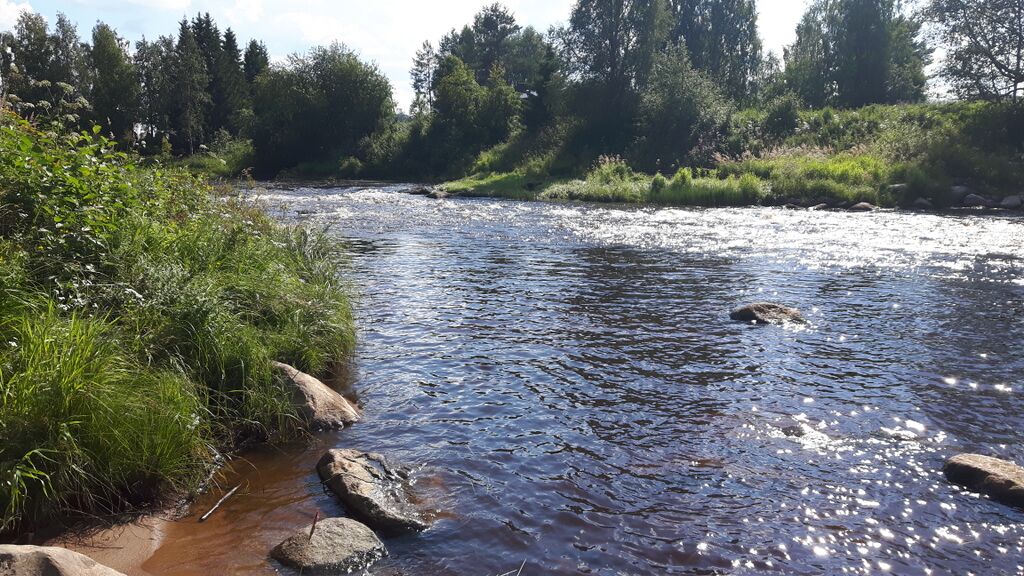 Veneojanperän alue (54.033)-Kärsämäen paanukirkko-ObsIMG-201607261820-98.jpg