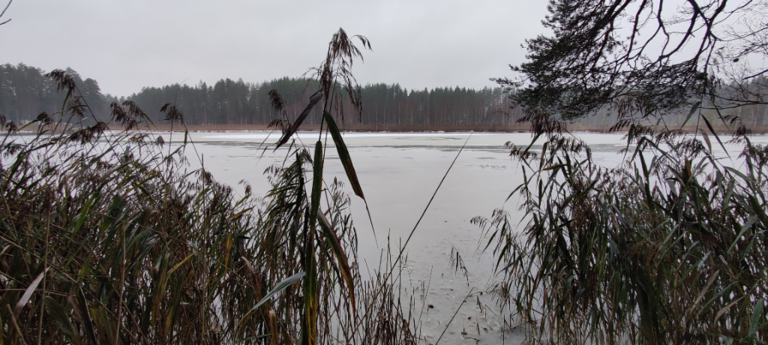 Hanhilampi (04.153.1.046)-Hanhilammen luonnonsuojelualue-ObsICE-202311041349-65462febac7a5.png