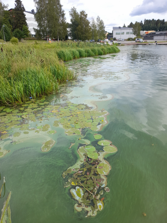 Hiidenvesi (23.031.1.001)-Kirkonkylän veneranta-ObsIMG-202307271711-64c3f790699e6.png