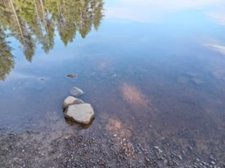 Montanlampi (59.121.1.001)-Rotarien sinileväseuranta-ObsIMG-202309131213-65018ba94c9bc.png