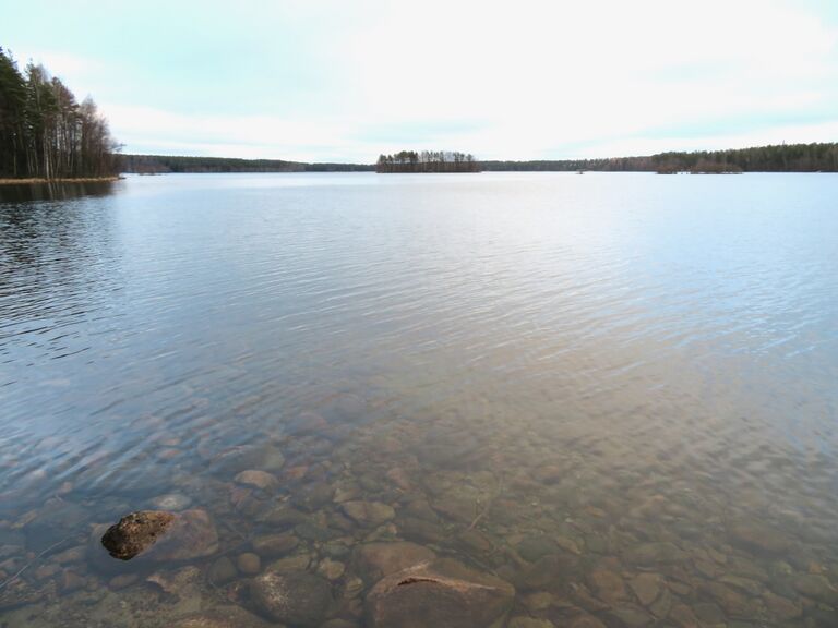 Sääksjärvi (23.097.1.002)-Sääksjärvi-ObsICE-202001191430-34.jpeg