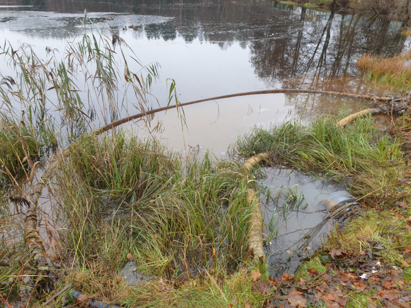 Tiedosto:Urpolanlampi (04.152.1.001)-Uusi hulevesiputki-ObsIMG-202311091012-654d0a7704160.png