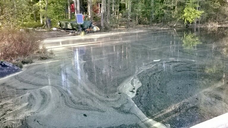 WP 20160524 19 24 48 Smart.jpg